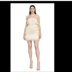 BCBG Owen Lace-Trimmed Dress 0 xs